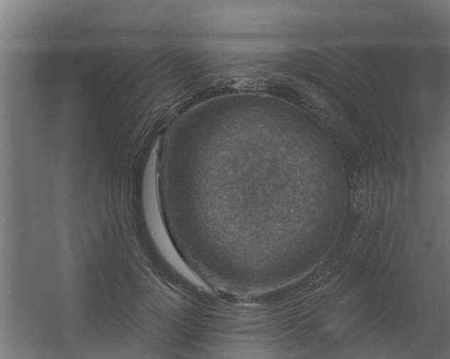 X0000056350748200509021721