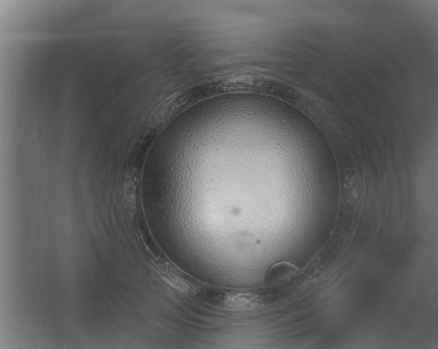 X0000056350753200509021721