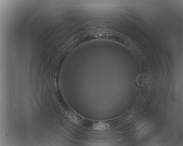 X0000056350754200509021721