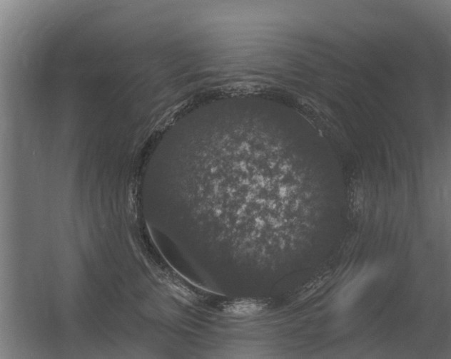 X0000056350759200509021721