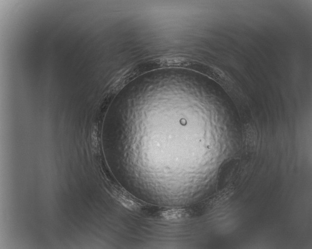 X0000056350761200509021722