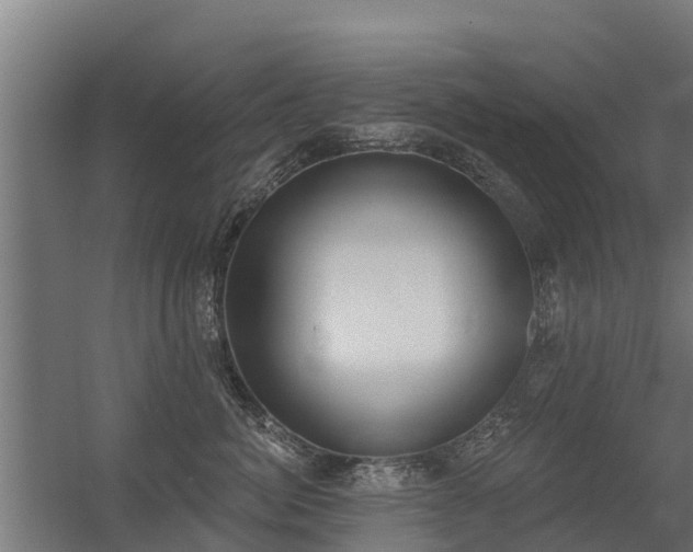 X0000056350764200509021722