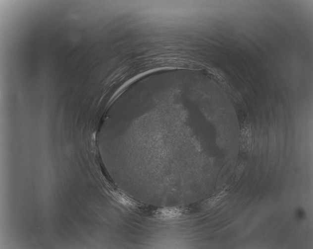 X0000056350765200509021722