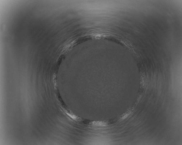 X0000056350766200509021722