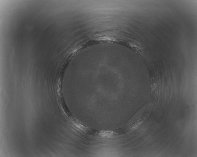 X0000056350767200509021722