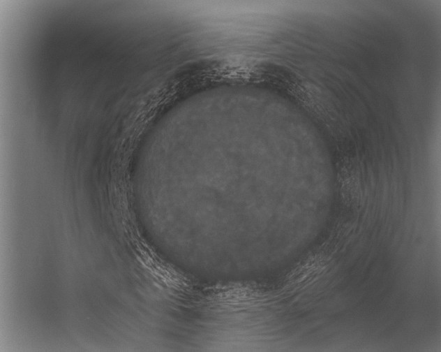 X0000056350769200509021721