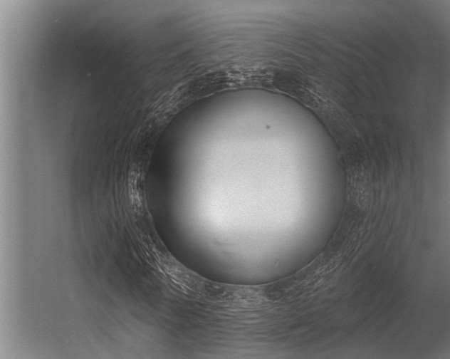 X0000056350770200509021721