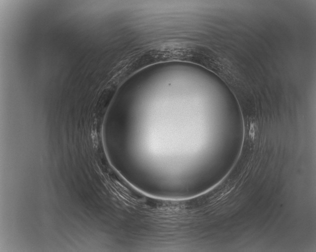 X0000056350771200509021721