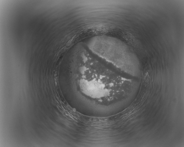 X0000056350772200509021721