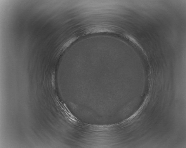 X0000056350777200509021721