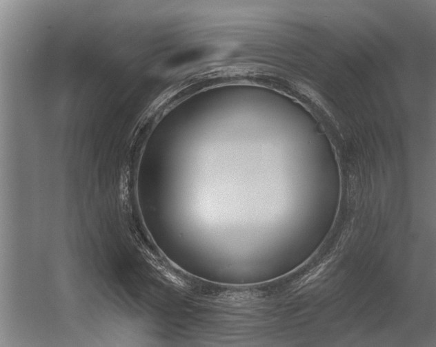 X0000056350778200509021721