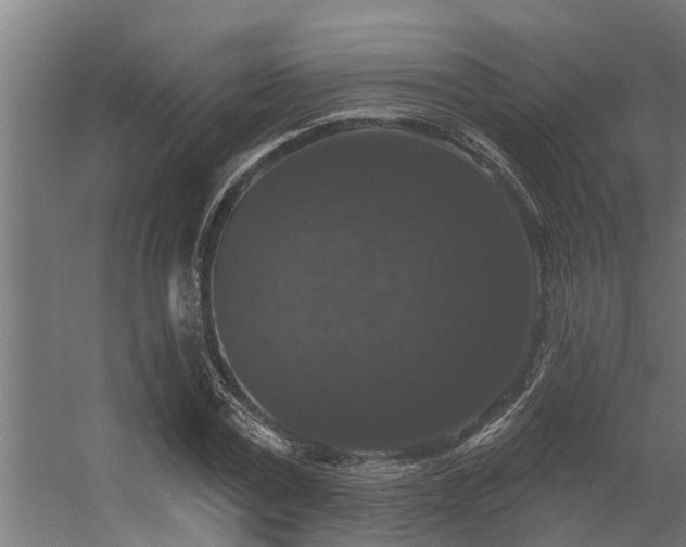 X0000056350779200509021721