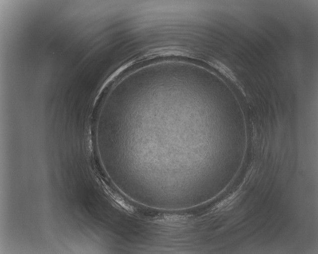 X0000056350782200509021721