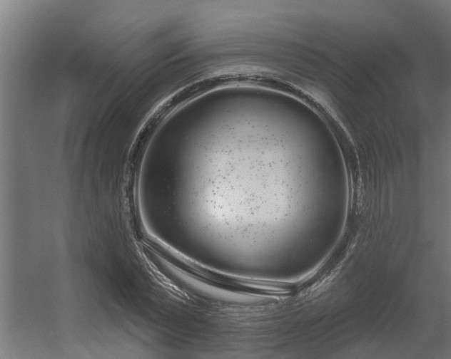 X0000056350783200509021721