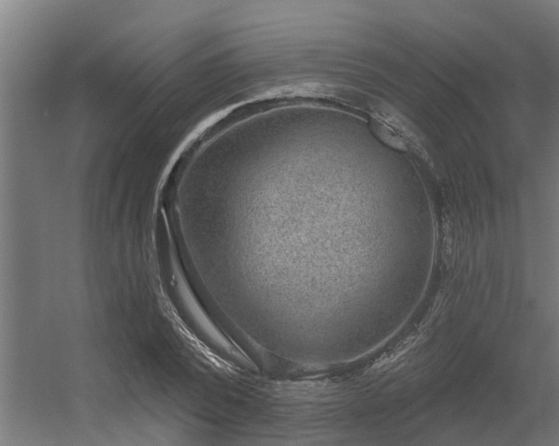 X0000056350784200509021721