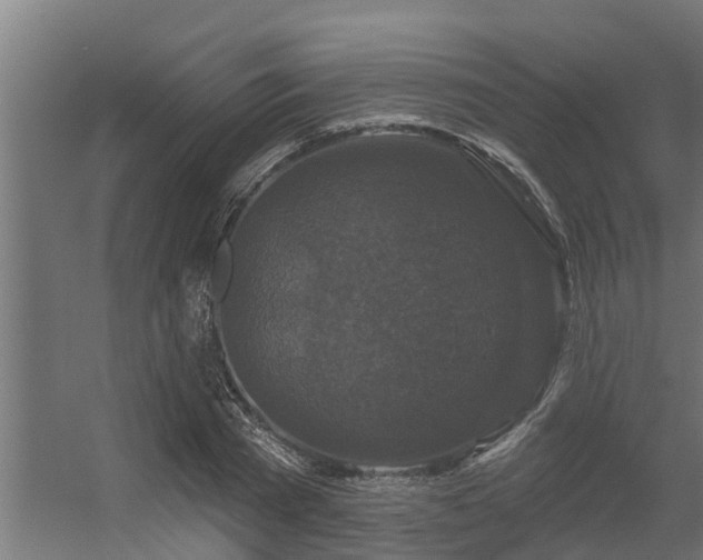 X0000056350785200509021721