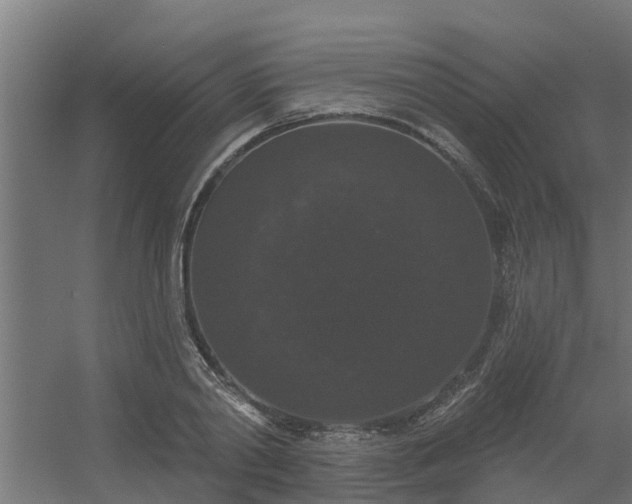 X0000056350790200509021720