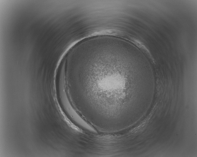 X0000056350792200509021720