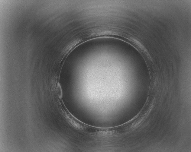 X0000056350793200509021720