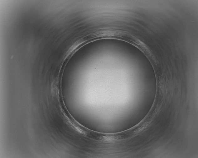 X0000056350794200509021720