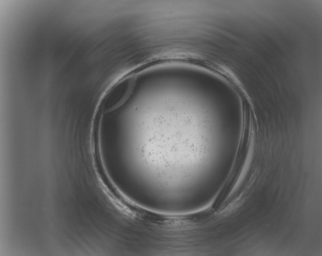 X0000056350795200509021720