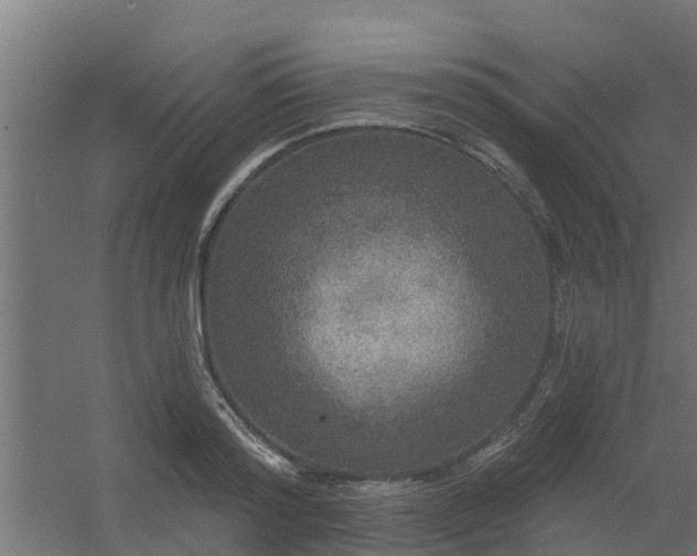 X0000056350796200509021720