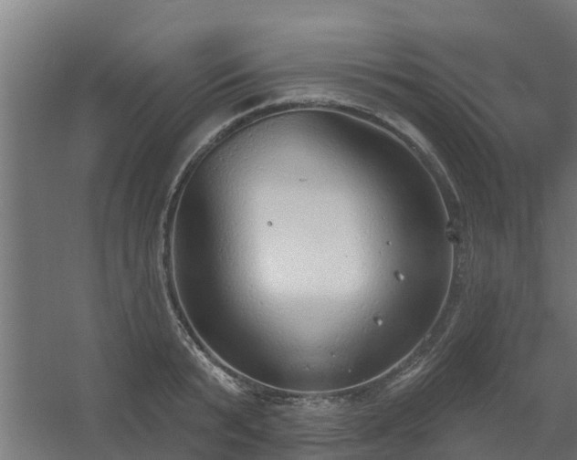 X0000056350799200509021720