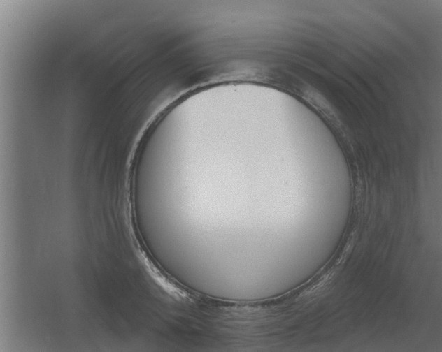 X0000056350800200509021720