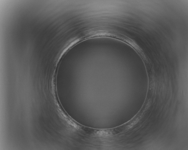 X0000056350806200509021720