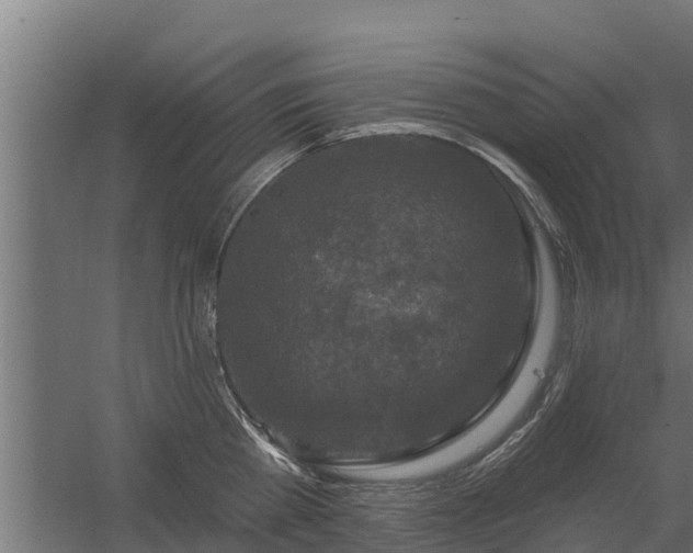 X0000056350809200509021720