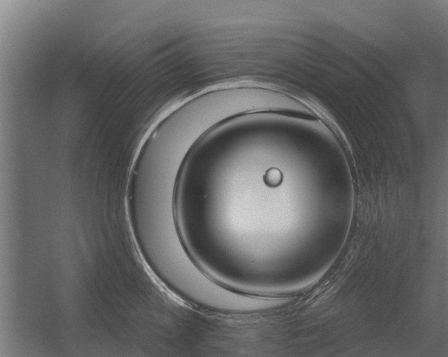 X0000056350813200509021720