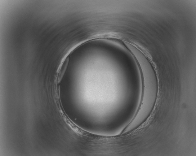 X0000056350816200509021720