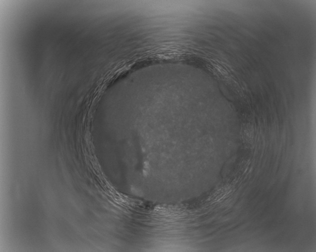 X0000056350817200509021719