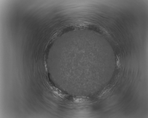 X0000056350819200509021719