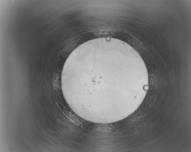 X0000056350820200509021719