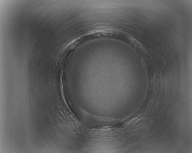 X0000056350822200509021719