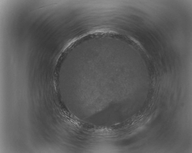 X0000056350823200509021719