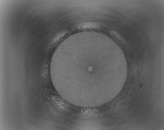 X0000056350824200509021719