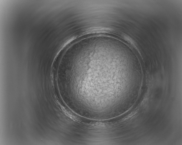 X0000056350827200509021719