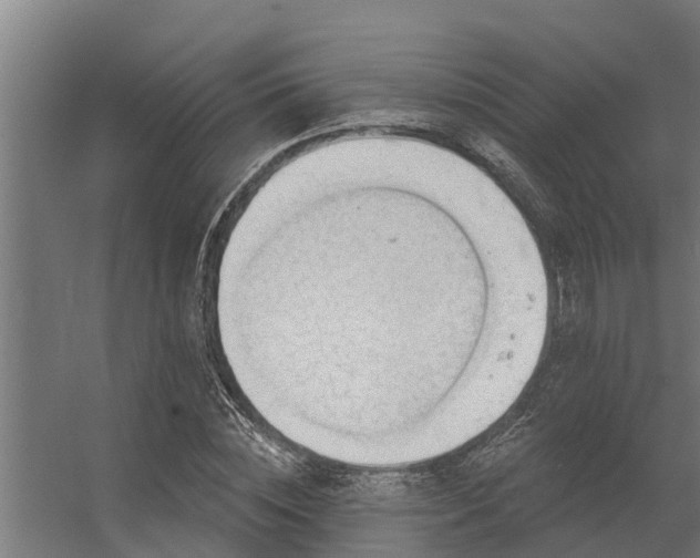 X0000056350828200509021719