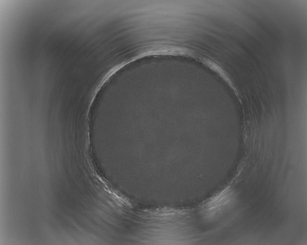 X0000056350829200509021719