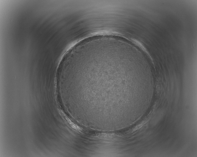 X0000056350831200509021719