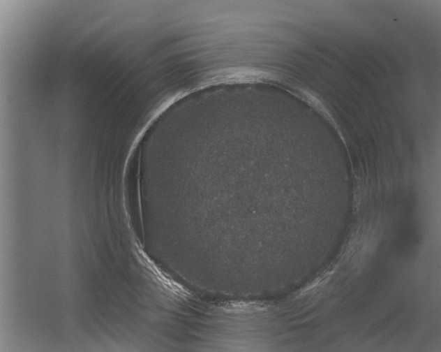 X0000056350835200509021719