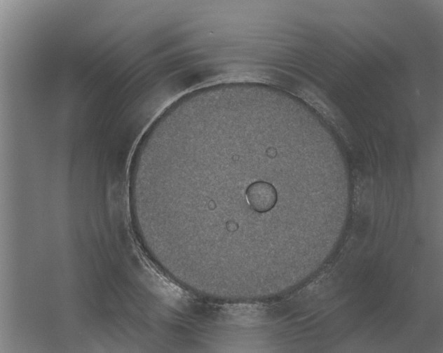 X0000056350836200509021720