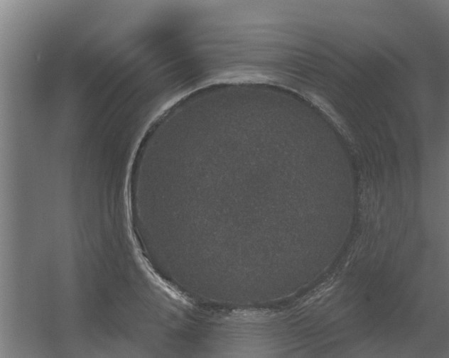 X0000056350840200509021720