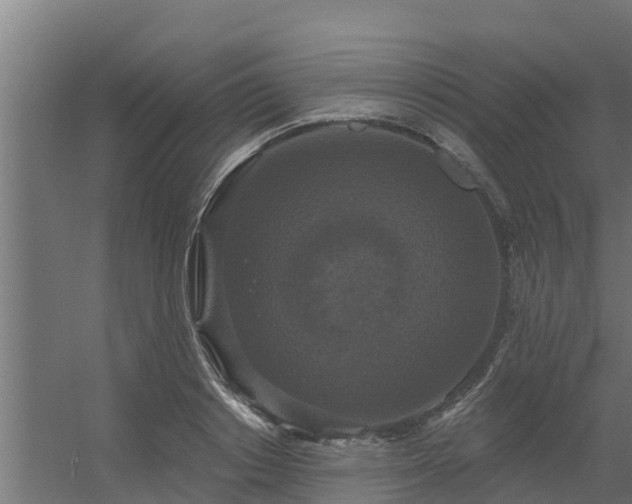 X0000056350842200509021720