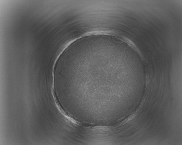 X0000056350844200509021720