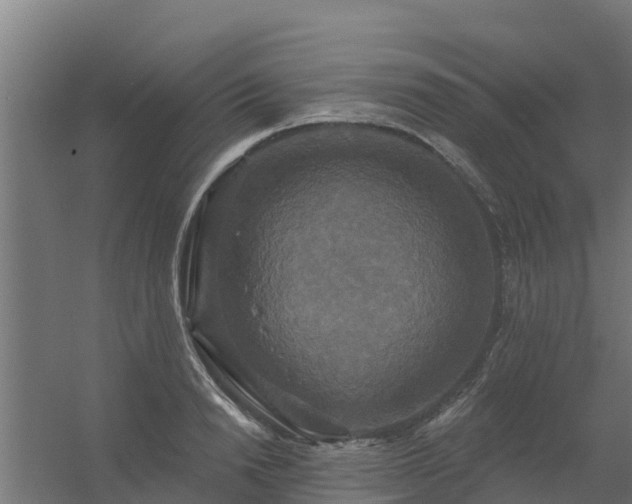 X0000056350846200509021720