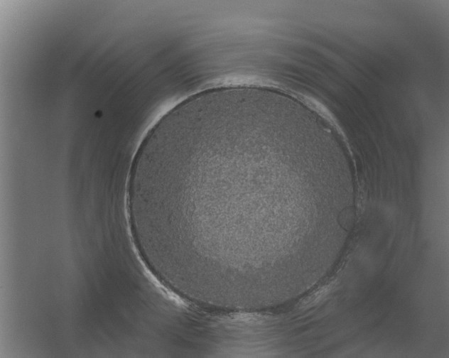 X0000056350847200509021720