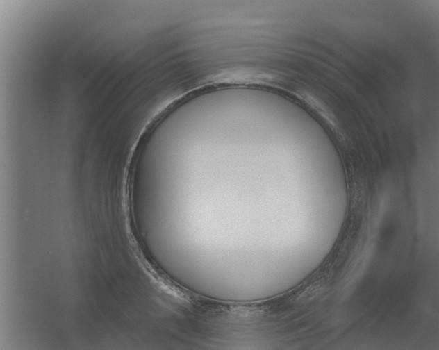 X0000056350848200509021720